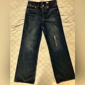 J. Crew Vintage Wide Leg (Premium Denim) 27T